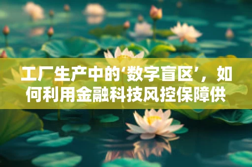 工厂生产中的‘数字盲区’，如何利用金融科技风控保障供应链安全？