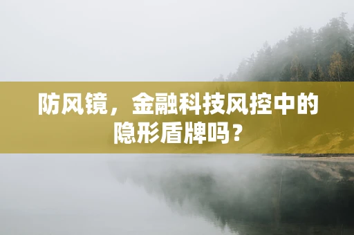 防风镜，金融科技风控中的隐形盾牌吗？