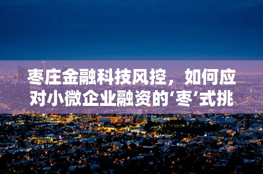 枣庄金融科技风控，如何应对小微企业融资的‘枣’式挑战？