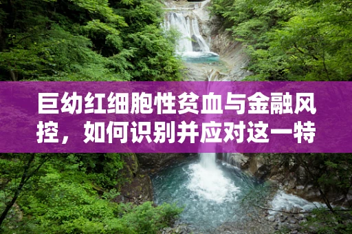 巨幼红细胞性贫血与金融风控，如何识别并应对这一特殊风险？