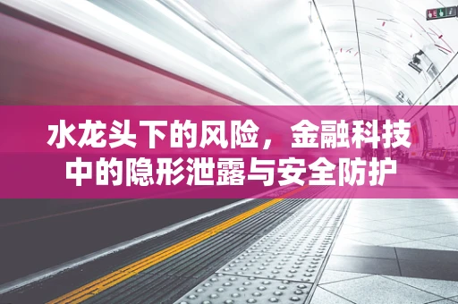 水龙头下的风险，金融科技中的隐形泄露与安全防护