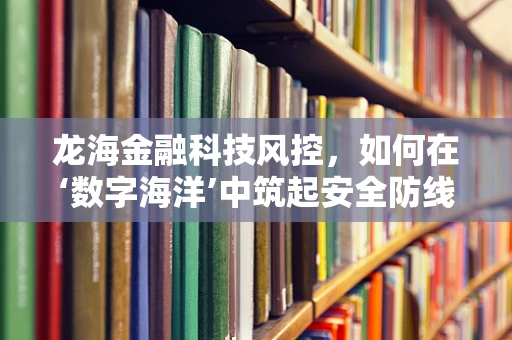 龙海金融科技风控，如何在‘数字海洋’中筑起安全防线？