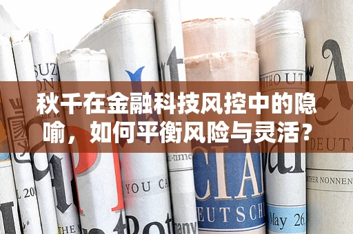 秋千在金融科技风控中的隐喻，如何平衡风险与灵活？