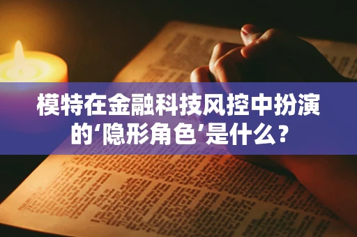 模特在金融科技风控中扮演的‘隐形角色’是什么？