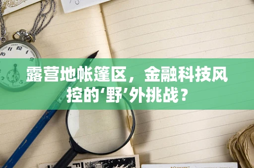 露营地帐篷区，金融科技风控的‘野’外挑战？