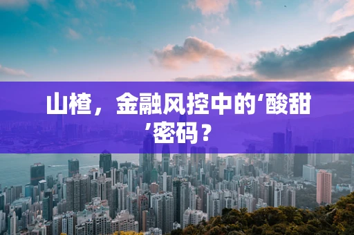 山楂，金融风控中的‘酸甜’密码？