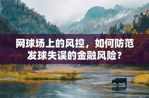 网球场上的风控，如何防范发球失误的金融风险？