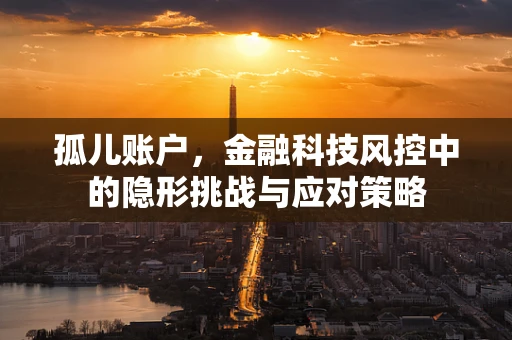 孤儿账户，金融科技风控中的隐形挑战与应对策略
