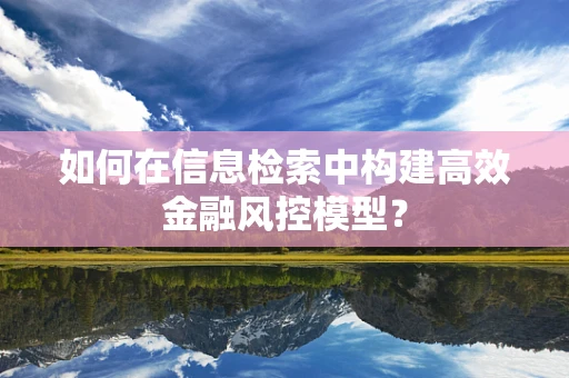 如何在信息检索中构建高效金融风控模型？