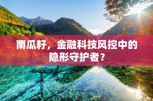 南瓜籽，金融科技风控中的隐形守护者？