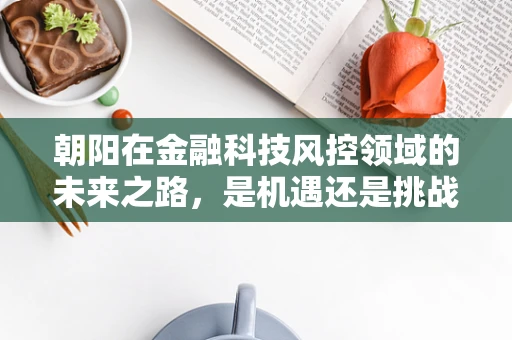 朝阳在金融科技风控领域的未来之路，是机遇还是挑战？