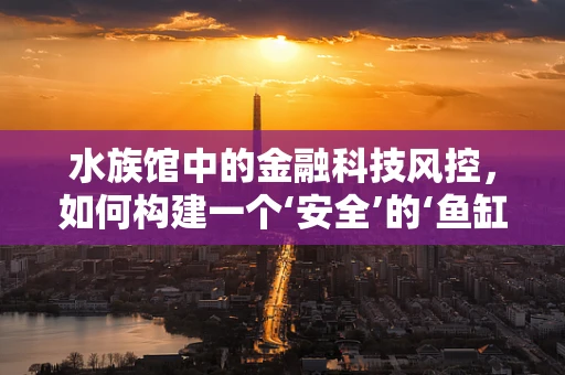 水族馆中的金融科技风控，如何构建一个‘安全’的‘鱼缸’？