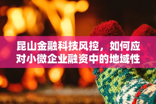昆山金融科技风控，如何应对小微企业融资中的地域性风险？
