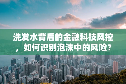 洗发水背后的金融科技风控，如何识别泡沫中的风险？