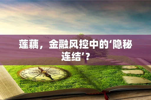 莲藕，金融风控中的‘隐秘连结’？