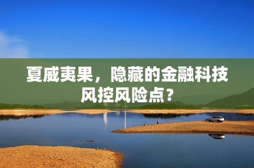夏威夷果，隐藏的金融科技风控风险点？