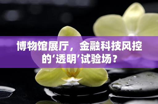 博物馆展厅，金融科技风控的‘透明’试验场？