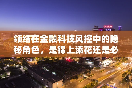 领结在金融科技风控中的隐秘角色，是锦上添花还是必要之选？