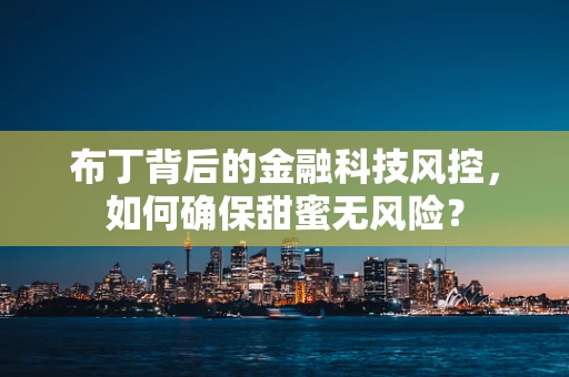 布丁背后的金融科技风控，如何确保甜蜜无风险？