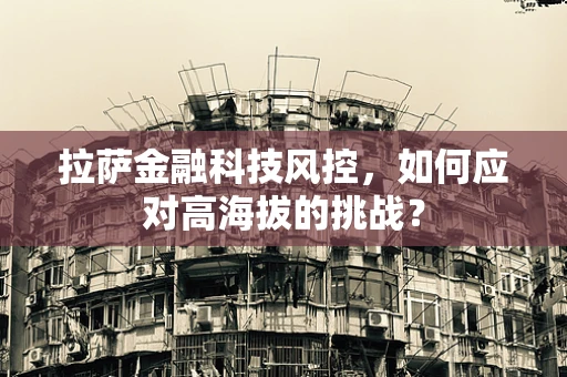 拉萨金融科技风控，如何应对高海拔的挑战？