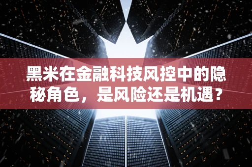 黑米在金融科技风控中的隐秘角色，是风险还是机遇？