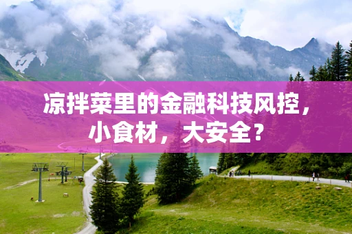凉拌菜里的金融科技风控，小食材，大安全？