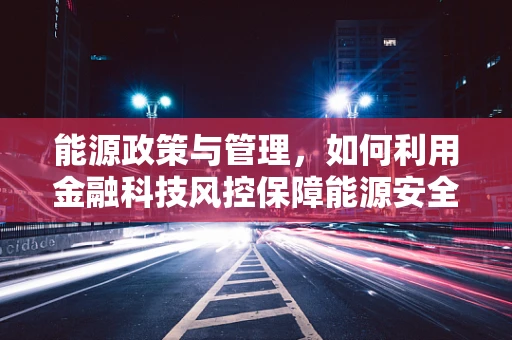 能源政策与管理，如何利用金融科技风控保障能源安全与效率？