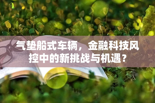 气垫船式车辆，金融科技风控中的新挑战与机遇？