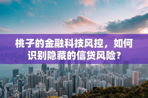 桃子的金融科技风控，如何识别隐藏的信贷风险？