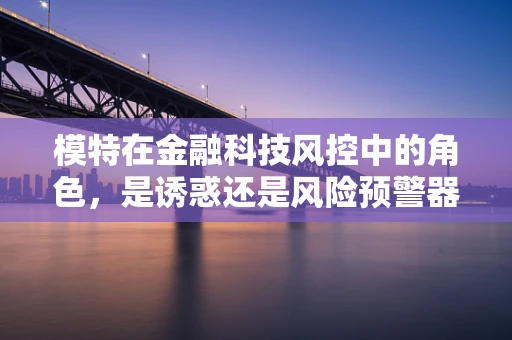 模特在金融科技风控中的角色，是诱惑还是风险预警器？