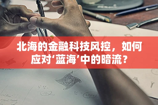 北海的金融科技风控，如何应对‘蓝海’中的暗流？