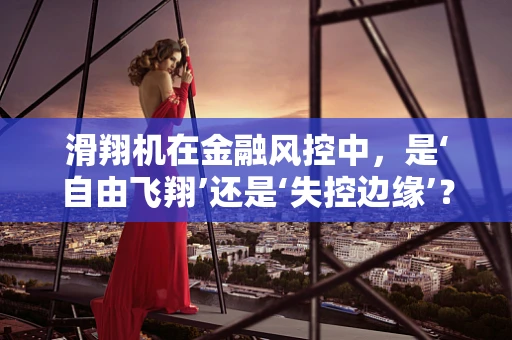 滑翔机在金融风控中，是‘自由飞翔’还是‘失控边缘’？