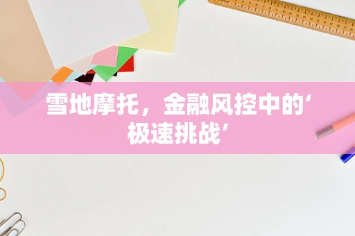雪地摩托，金融风控中的‘极速挑战’