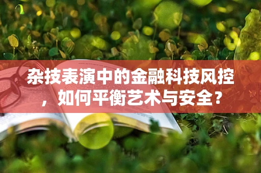 杂技表演中的金融科技风控，如何平衡艺术与安全？