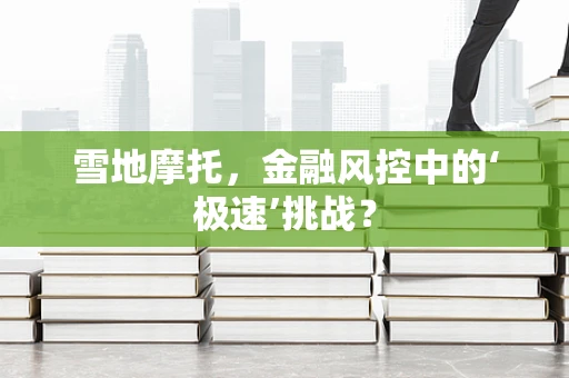 雪地摩托，金融风控中的‘极速’挑战？