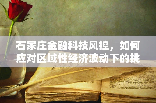 石家庄金融科技风控，如何应对区域性经济波动下的挑战？