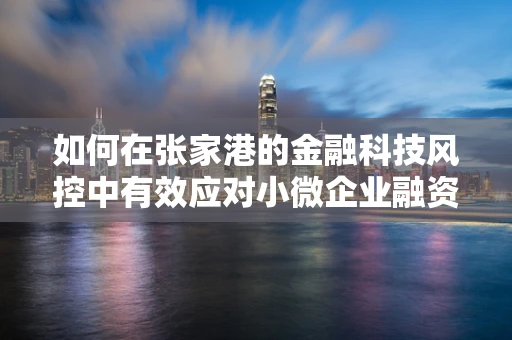 如何在张家港的金融科技风控中有效应对小微企业融资风险？