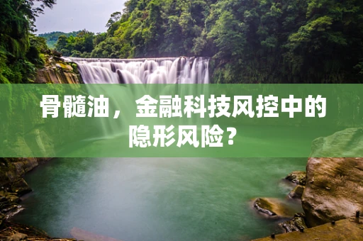 骨髓油，金融科技风控中的隐形风险？