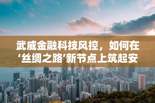 武威金融科技风控，如何在‘丝绸之路’新节点上筑起安全防线？