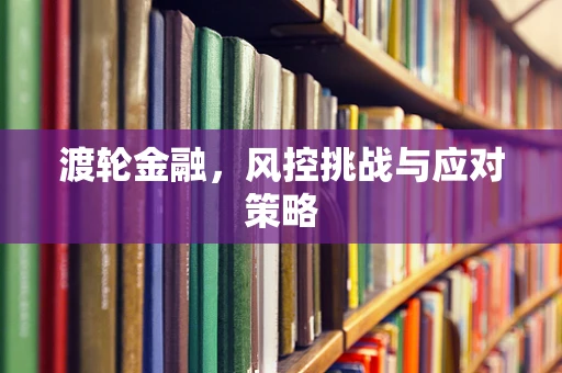 渡轮金融，风控挑战与应对策略