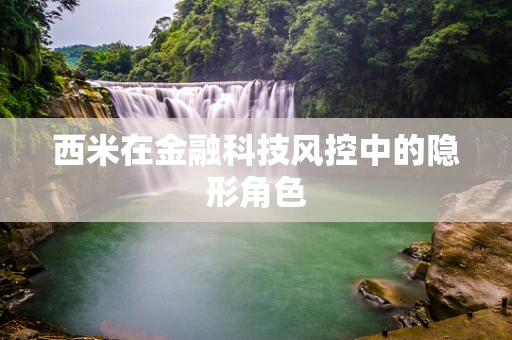 西米在金融科技风控中的隐形角色