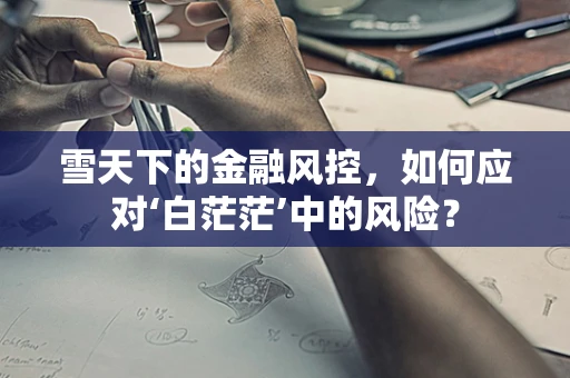 雪天下的金融风控，如何应对‘白茫茫’中的风险？