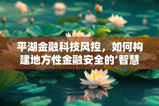 平湖金融科技风控，如何构建地方性金融安全的‘智慧盾牌’？
