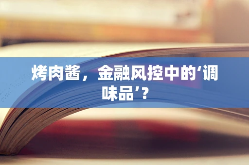 烤肉酱，金融风控中的‘调味品’？