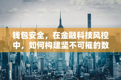钱包安全，在金融科技风控中，如何构建坚不可摧的数字护盾？