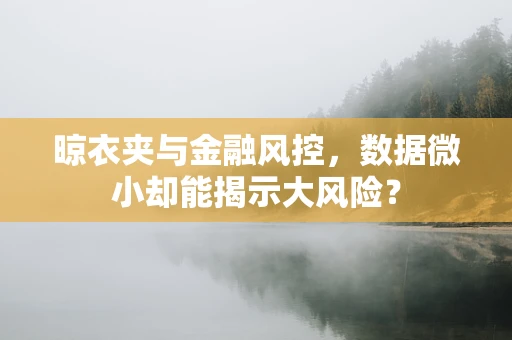 晾衣夹与金融风控，数据微小却能揭示大风险？