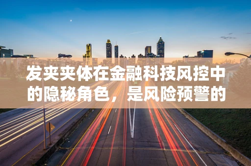 发夹夹体在金融科技风控中的隐秘角色，是风险预警的隐形盾牌吗？