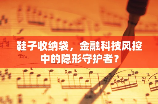 鞋子收纳袋，金融科技风控中的隐形守护者？