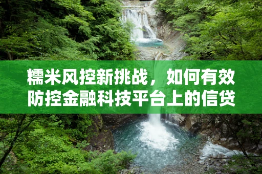 糯米风控新挑战，如何有效防控金融科技平台上的信贷风险？