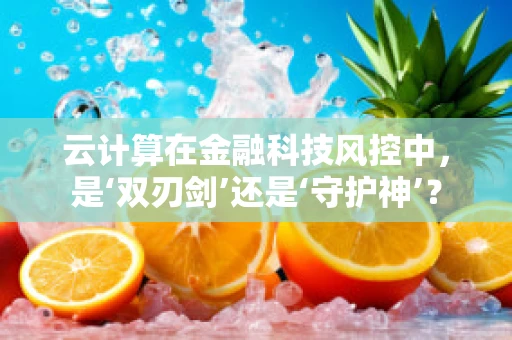 云计算在金融科技风控中，是‘双刃剑’还是‘守护神’？